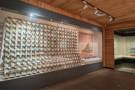 Artifacts from Zhangzhou Yuan Dynasty shipwreck get transferred