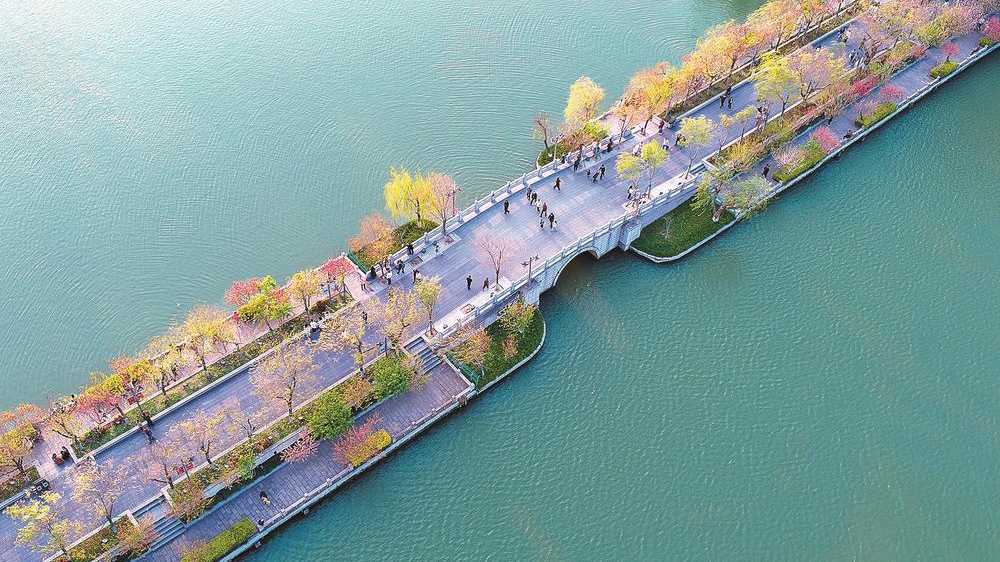 福州西湖 桃红柳绿