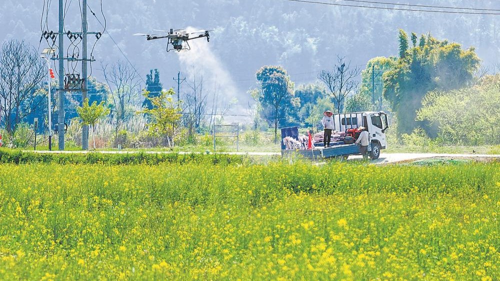 春耕备耕一线见闻