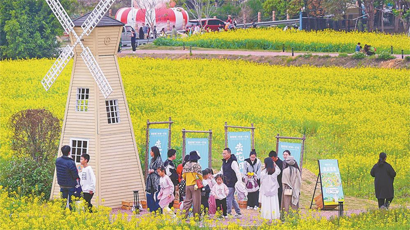 金色花海邂逅“田野学堂”